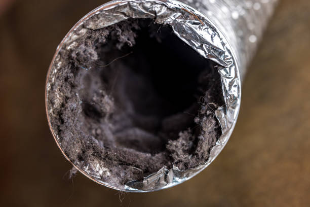 Best HVAC Duct Inspection Services  in Bala Cynwyd, PA