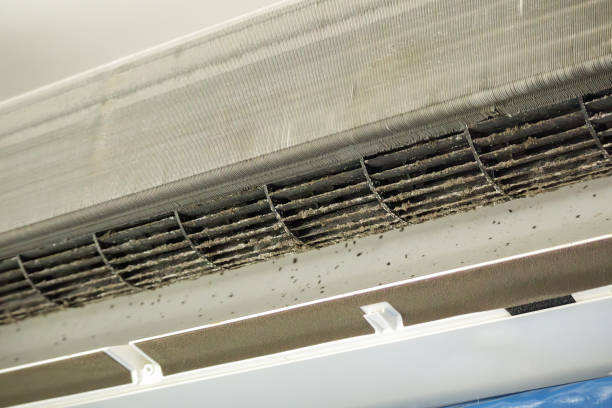 Best Emergency Air Duct Cleaning  in Bala Cynwyd, PA